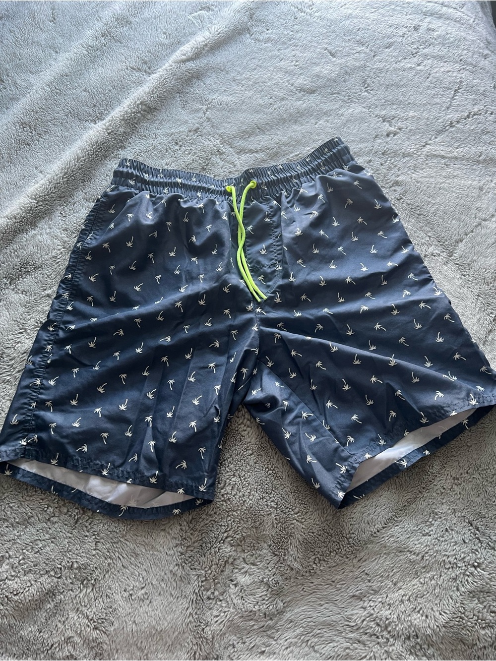 Hollister Blue Swim Shorts